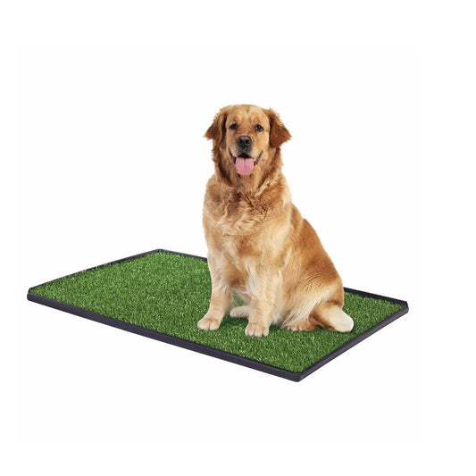 Baño ecológico lavable mascotas XXL interior perros gatos césped
