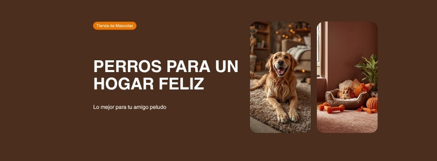 Banner Perros