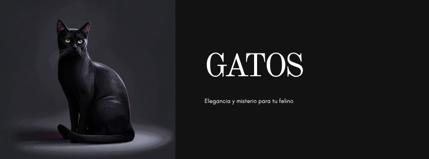 Banner Gatos