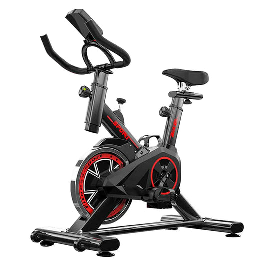 Bicicleta Spinning Pro, 6kg Ajustable