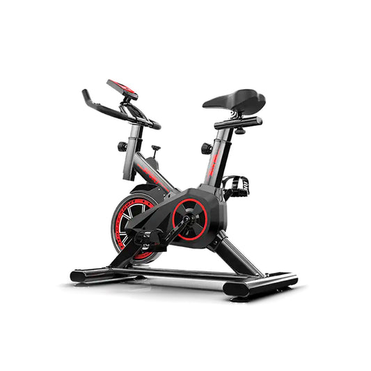 Bicicleta Spinning Pro, 6kg Ajustable