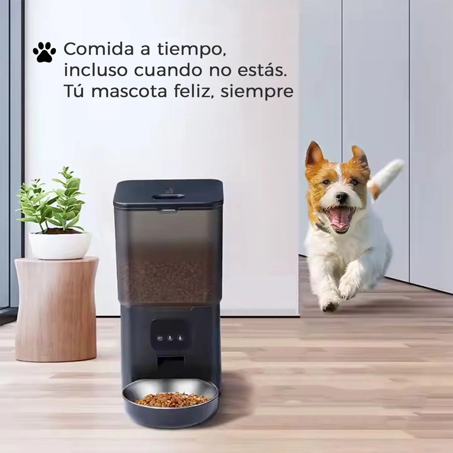 Dispensador Automatico Comida Mascotas Cubo 6 lts. Wifi