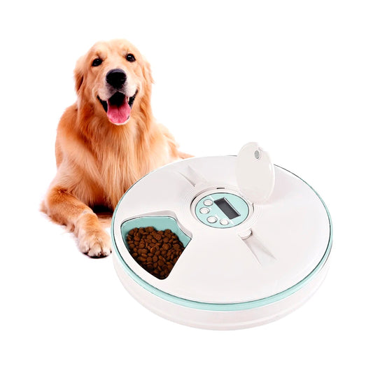 Dosificador automático para mascotas con temporizador, para 6 comidas, celeste