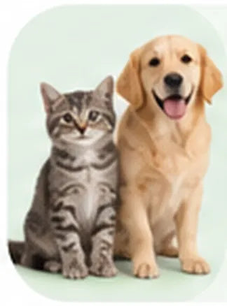 Mascotas